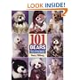 101 Bears to Make: From 3 Classic Patterns