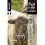 Working with Animals and Wildlife (Real Life Guides)