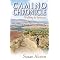Do the Camino de Santiago pilgrimage in Spain