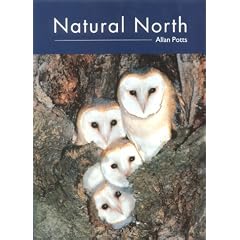 Natural North