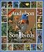 365 Audubon Songbirds 2005 (Audubon Calendars 2005)
