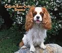 For the Love of Cavalier King Charles Spaniels 2007 Deluxe Calendar