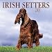Irish Setters 2001 Calendar