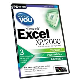 Teaching-you MS Excel XP & 2000