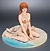 Dead or Alive Xtreme 2 Kasumi - Virgo 1/6 Scale PVC Figure : image
