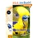 Wellensittich, Der (Altproduktion Heimtier)