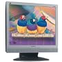 ViewSonic 19" LCD Monitor (Silver/Black)