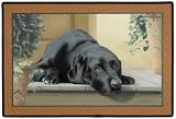 Dog Breed Doormats by Fiddlers Elbow - Black Labrador