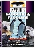 Nature: Waddlers & Paddlers