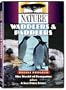 Nature: Waddlers & Paddlers