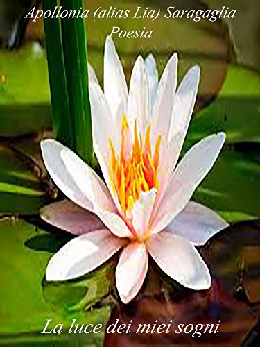 Luce dei miei sogni (Italian Edition)