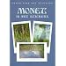 Monet: 16 Art Stickers (Fine Art Stickers)