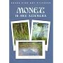 Monet: 16 Art Stickers (Fine Art Stickers)