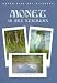 Monet: 16 Art Stickers (Fine Art Stickers)