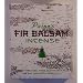 72 Balsam Logs - Paine's Fir Balsam Incense