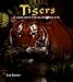 Book Tigers: A Look into the Glittering Eye