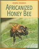 Africanized Honey Bee (Animal Invaders)