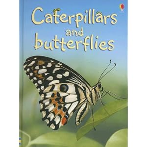 Caterpillars and Butterflies (Usborne Beginners)