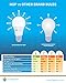 Premium LED Bulb - 7watt 4000k LED Bulb by NGP - A Universal, Recyclable and Shatterproof LED Light Bulb - Bonus E-Book on Energy Saving Tips Worth $5.99