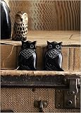 Review Satinbox  / Owl Salt & Pepper Shaker Set