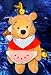 Search : Disney's Winnie the Pooh Summer Fun 6