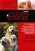 Le Golden Retriever