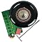 Deluxe Roulette Wheel