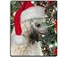 Poodle Christmas Mousepad