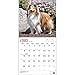 Shetland Sheepdogs 2015 Wall Calendar