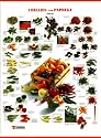 Chillies und Paprika. Poster