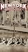 New York the Way It Was: The Way It Was [VHS]