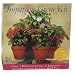 Kitchen & Housewares : Buzzy Impatiens Grow Stand