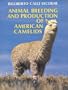 Animal breeding and production of American camelids