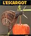 L'escargot