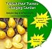 2 Yellow Pear Tomato Hanging Garden Bag Planters - Complete GROW KITS