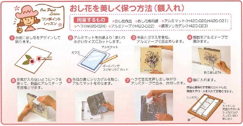 ハマナカ おし花専用額 大衣・木目
