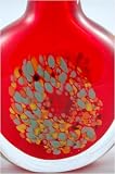 Red Art Glass Perfume Bottle 218R