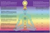 Rainbow Chakra Poster