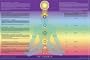 Rainbow Chakra Poster