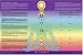 Rainbow Chakra Poster