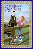 South Wind Spring (Young Black Stallion)