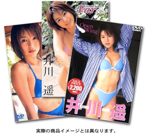 井川遥 Special DVD BOX
