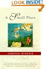A Small Place