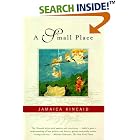 A Small Place by  Jamaica Kincaid