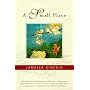 A Small Place