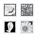 Self-Stick Black and White Flowers 4-pc. Wall Art Set