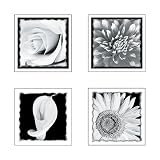 Self-Stick Black and White Flowers 4-pc. Wall Art Set