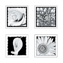 Self-Stick Black and White Flowers 4-pc. Wall Art Set
From Blue Mountain Wall Coverings
