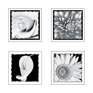 wall art stickers