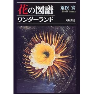 �Ԃ̐}�������_�[�����h